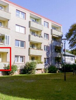 Ruhige, großzügige Wohnung mit viel Licht und Blick ins Grüne - Königslutter (Elm)