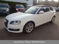 Audi A3 2.0 TFSI Ambition Cabriolet - 2.Hd./58 TKM - Lorsch (Karolingerstadt)