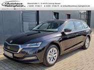 Skoda Octavia, 1.0 TSI Combi e-TEC Style 17Alu, Jahr 2023 - Castrop-Rauxel