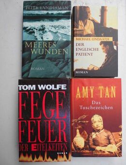 32 Bücher zus. nur 5,-: Zeitgenössische Literatur Romane Bestseller - Flensburg