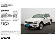 VW Tiguan, 1.5 TSI Highline, Jahr 2020 - Hildesheim