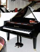 Flügel Klavier Bösendorfer 170, schwarz poliert, 5 Jahre Garantie in 21272