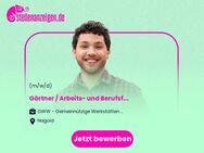 Gärtner / Arbeits- und Berufsförderer (m/w/d) - Nagold