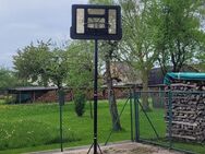 Baskettballkorb - Thalmässing