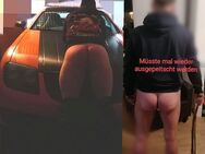 Herrin/en für Strafspanking/Aus-peitschen Outdoor gesucht - Dortmund