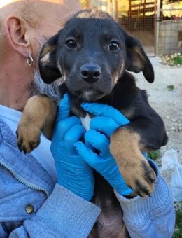 Jonas 💗 fröhlicher+lebensfroher Schatz! - Hamburg