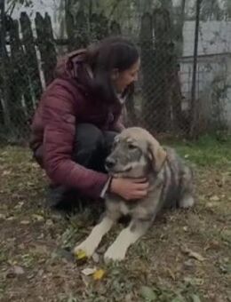 🌙 Liebe Luna sucht Halt 🌙 - Eislingen (Fils)