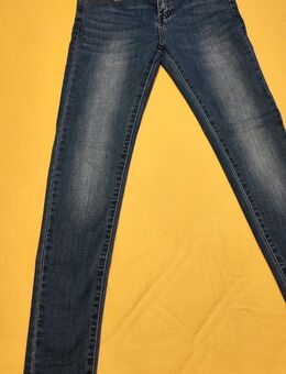 Miss Curry Damenjeans NEU - Mörfelden-Walldorf