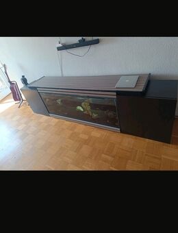 Aquarium mit Fischen - Lappersdorf