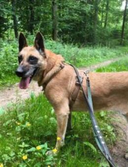 Soziale RUBY = Herz in Not 🙏♥️🆘🆘 - München