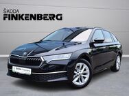 Skoda Octavia, 2.0 TDI Combi Selection, Jahr 2024 - Verden (Aller)