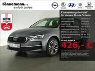 Skoda Octavia, COMBI SELECTION TDI SITZ, Jahr 2024 - Coesfeld