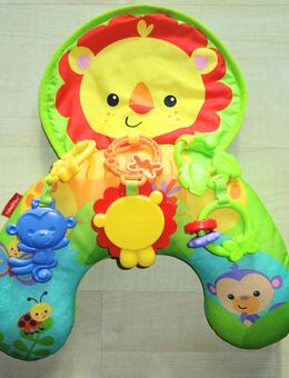 Spielkissen von Fisher-Price - Flintsbach (Inn)