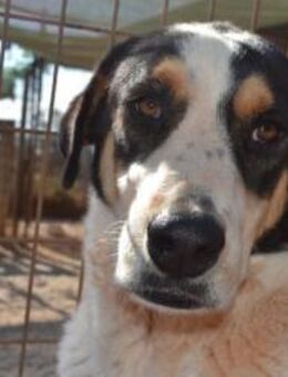 Alma - hübsch und fröhlich - Mettmann