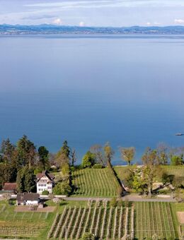 See-, Bergblick und Privatstrand: 2-Zi-Terrassenwhg. in Kressbronn am Bodensee! - Kressbronn (Bodensee)