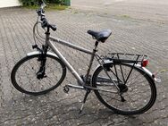 Herren Trekking Rad zu Verkaufen - Sinsheim