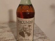 Bacardi Rum flasche - Herzberg (Elster)