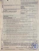 Maurische Landschildkröten in 39218