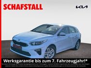 Kia Ceed Vision 1.5 T-GDI Navi Tempomat Kamera Carplay Sitzheizung - Bergheim (Nordrhein-Westfalen)