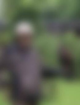 Han*** - Markt Bibart