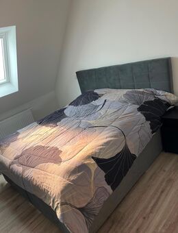 Boxspringbett mit 2 Bettkästen - Fürstenau