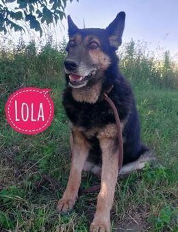 Lola die allerliebste - Flörsheim-Dalsheim