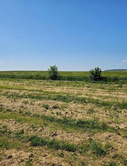 Neubau Traum vom Eigenheim !!! Doppelhaushälfte in ruhiger Wohnlage bei Bad Schussenried - Bad Schussenried