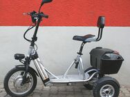 Freeliner, E-Trike, Lithium-Akku, Klappbar, Alu-Rahmen, Hydraul. Scheibenbremse, ca. 35 Km/h, Zulassung, 3 Fahrstufen, Tempomat - Kronau