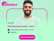 Sales Manager (m/w/d) Chemie – International - Rosenberg (Regierungsbezirk Stuttgart)