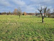 Hauptstadtmakler- Großes teilbares Grundstück in guter Lage - Grünheide (Mark)