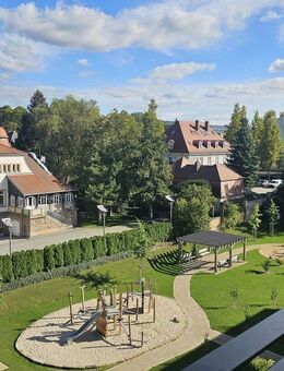 Blick auf das Pirnaer Schloss - Pirna
