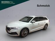 Skoda Octavia, 2.0 TDI Combi Tour 150, Jahr 2023 - Emmendingen