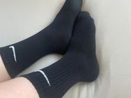 verkaufe meine geilen verschwitzten getragenen Socken - Arnsberg