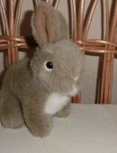 Stofftier "Hase" in 47169