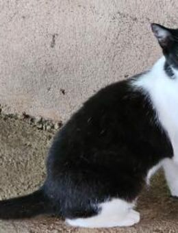 Marylin möchte endlich ankommen - Aichwald