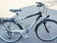 Winora Bermuda Aluminium Trekking Fahrrad - Augsburg