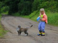 Wohlfühloase für die ganze Familie mit guter Anbindung! - Rosengarten (Niedersachsen)