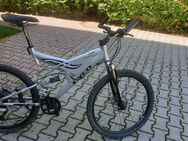 MTB Fully Cyco F.S.52 fst - Garching (München)