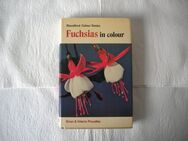 Fuchsias in Colour,Proudley,Blandford,1980 - Linnich