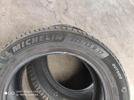 Michelin Sommerreifen 225/55/R17 W 101 - Northeim