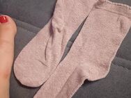 Socken getragen - Amberg
