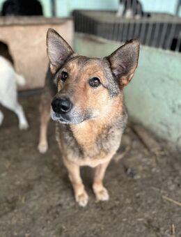 Jo, freundlich und sozial - Bonndorf (Schwarzwald)
