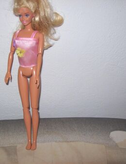Barbiepuppen . - Erwitte