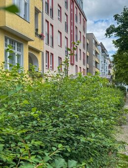 Vermietete 2-Zimmer-Altbauwohnung mit sonnigem Balkon in Berlin-Steglitz - Berlin