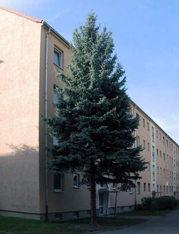 3-Raum-Wohnung mit Balkon - Riesa