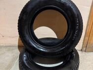 2 Gebrauchte Winterreifen ohne Felgen - Vredestein Snowtrack 5 (195/65 R15 95T) - Furth