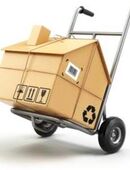 Umzugshelfer in 66589