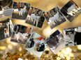 Katzensitting / Tierbetreuung Innenstadt Fürth in 90762