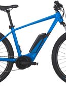 Bulls 29" LT Performance Bosch 65Nm mit 400 Wh Akku und Zubehör im Wert von über 150€ in 52525