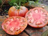 Schwarze Sahra, alte Sorte, Tomatensamen, samenfest - Oldenburg